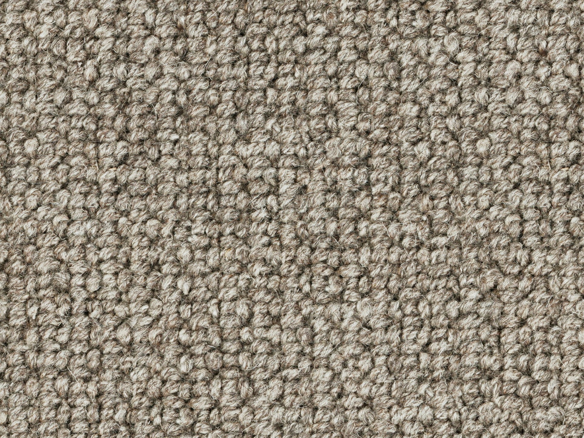 Variant Grey 2500